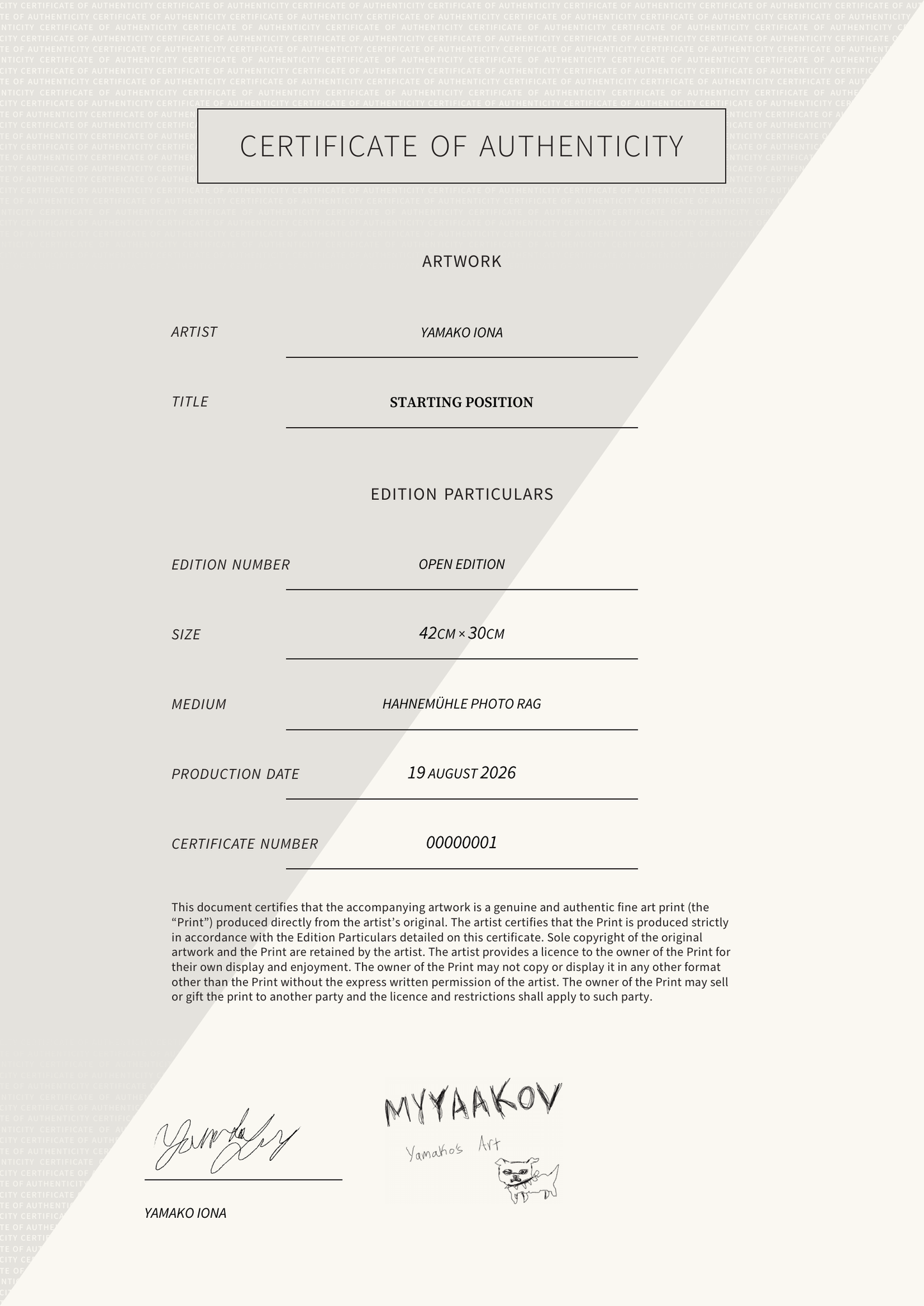 Starting Position — Certificate of Authenticity
